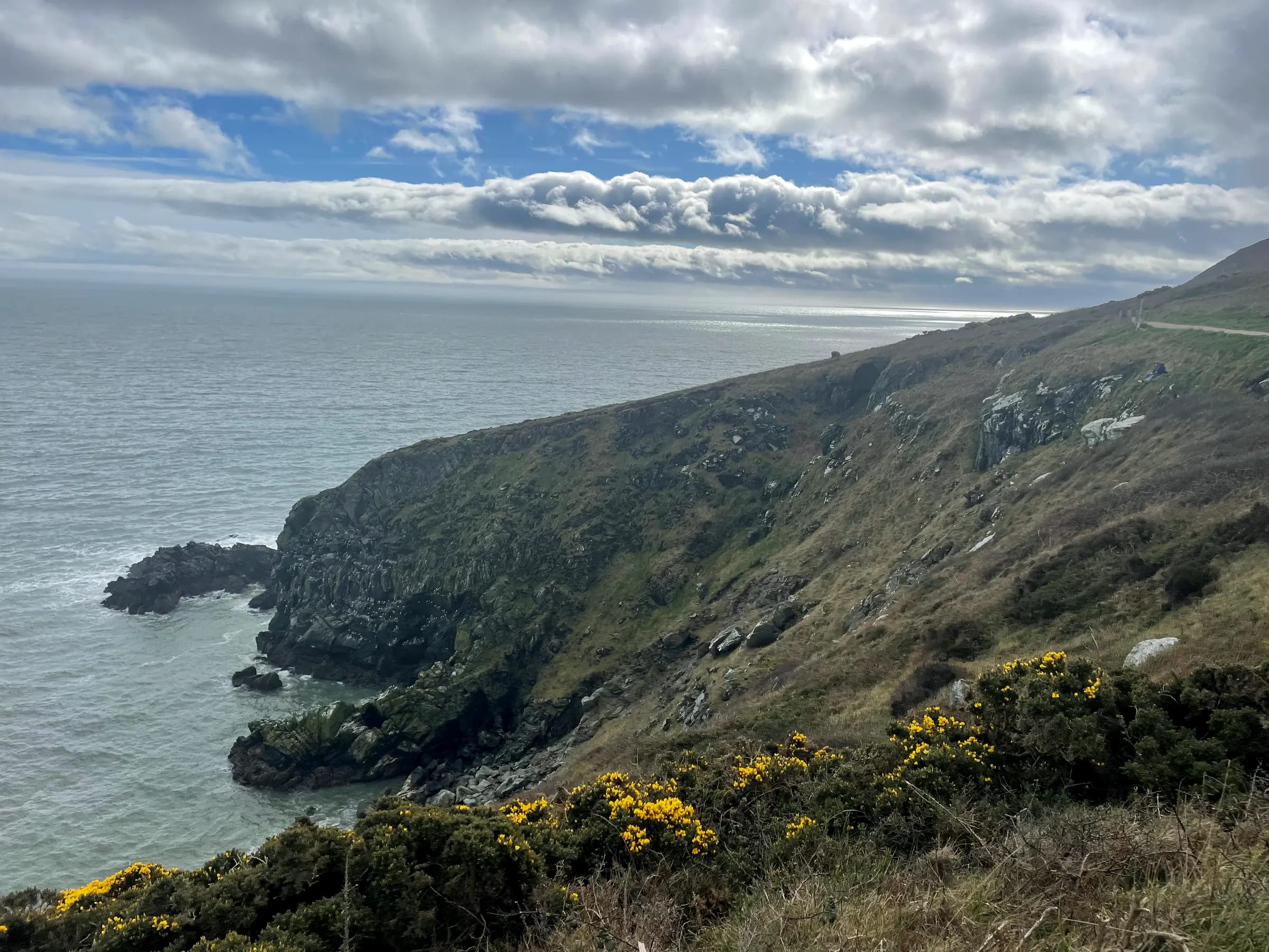 Trilha nas falésias de Howth, perto de Dublin, com o mar e o tojo amarelo em flor